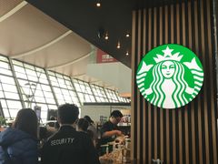 大堂-星巴克(浦东机场T2到达店)