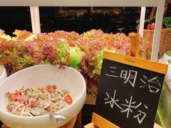 -东方红海鲜百汇(国际大厦店)