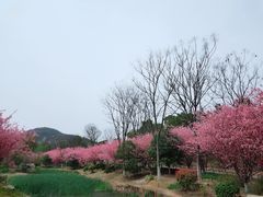 -南山风景名胜区