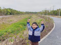 -西涌国际滨海旅游区
