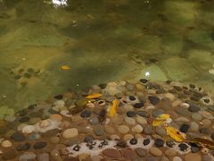 -湖泉半山温泉(湖泉生态园)