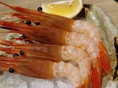 牡丹虾-小山日本料理(兴业太古汇店)