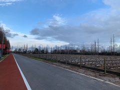 -上海长兴岛郊野公园