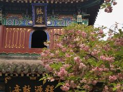 -洛阳白马寺
