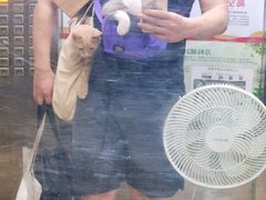 -伟伟宠物医院·CT影像中心·瑞派犬猫综合性门诊(汉口总院)