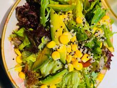 牛油果时蔬沙拉-千寻山野烤肉(中关村店)