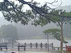 -庐山风景区花径公园