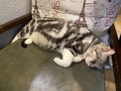 -咖法森林·咖啡  酒吧(天河店)