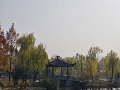 -武汉园博园(武汉自然博物馆)