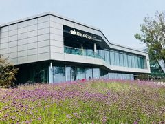 -猫的天空之城概念书店(北戴河蔚蓝海岸店)