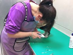 -北京观赏动物医院·24小时大型综合·猫专科·异宠专科