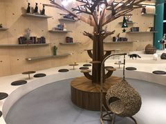-飞行喵MR PILOT|猫舍·猫咖(静安大融城店)