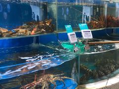 水产区-7fresh七鲜(大族广场店)