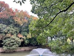 -普陀山风景名胜区-法雨禅寺