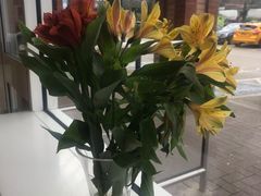 -瓦伦西亚大教堂