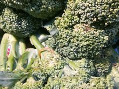 -珠光市场(文德南路)