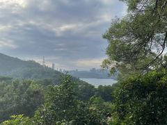 -深圳仙湖植物园