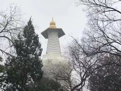 -扬州瘦西湖船宴