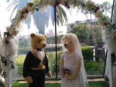 -济州岛泰迪熊博物馆