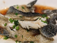 -舌尖上·霞浦滩涂海鲜·新闽菜(总店)