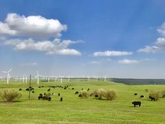 -塞罕坝国家级自然保护区