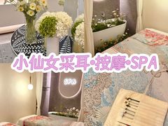 -小仙女采耳·按摩·SPA(深圳旗舰店)