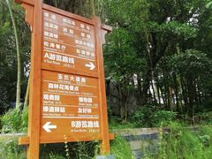 -广州市流溪河国家森林公园
