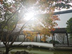 -秋霞圃