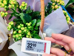 -盒马鲜生(红莲店)