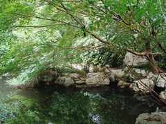 -乾园.魏庐湖景餐厅(花港店)