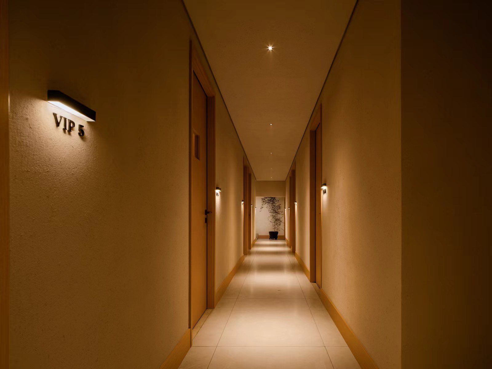 夜晚走廊的禅意体验