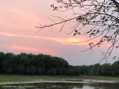 -东郊湿地公园