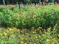 -长春公园(普阳街道)