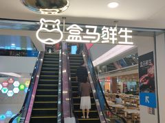 门面-盒马鲜生(曜一城店)