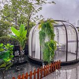 上海！试到了！白冰二刷的自助！！