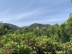 -溪口-滕头旅游景区