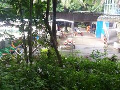 -广东茂名森林公园