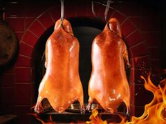 -北京烤鸭 ·儿童菜 ·采风阁家常菜餐厅(亚龙湾天域酒店)