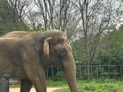 -合肥野生动物园