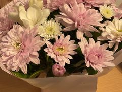 -双季花艺园艺市场(浦东店)