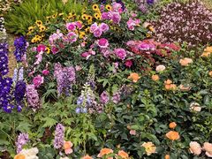 -人民公园(罗湖区)