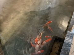 景观位-小京华楼·京味斋(三元桥国展店)