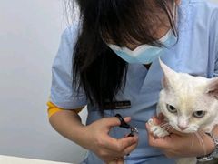 -立德24H动物医院·夜诊·转诊中心·1.5T核磁共振(海珠店)