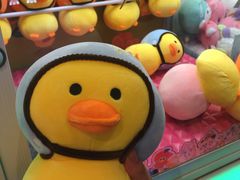-汤姆熊欢乐世界(罗斯福店)