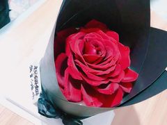 -云朵上的鱼(莘庄店)