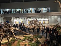 -自贡恐龙博物馆