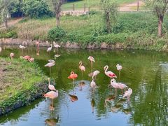 -杭州野生动物世界