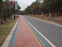 -南京市无想山景区