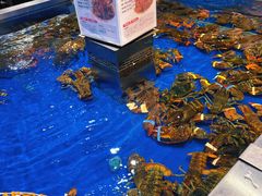 -盒马鲜生(顺义店)