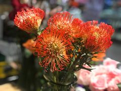 -谷莠子花艺气球派对·绿植造景·花艺沙龙(东海缤纷天地店)